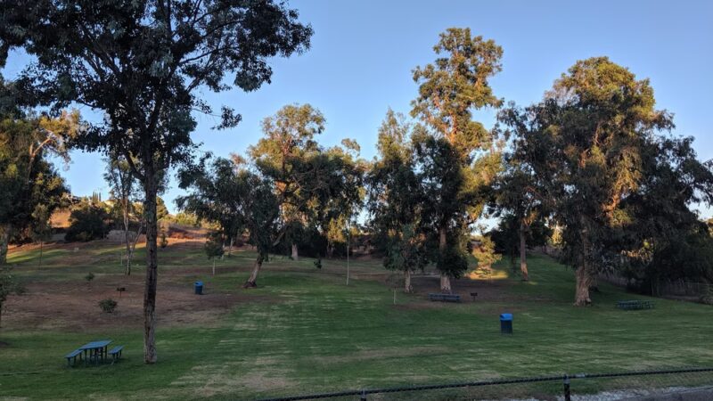 Eucalyptus County Park - Spring Valley, CA