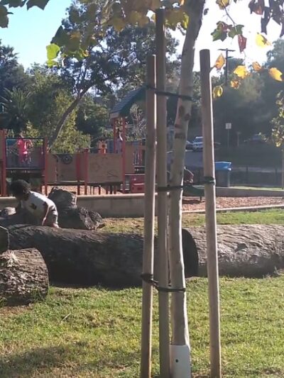 Eucalyptus County Park - Spring Valley, CA