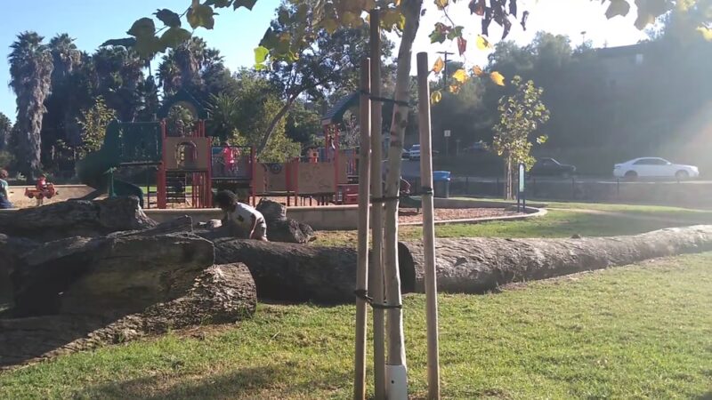 Eucalyptus County Park - Spring Valley, CA