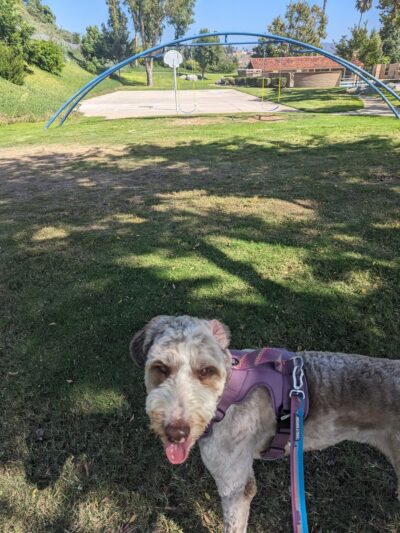 Hansen Park - Spring Valley, CA