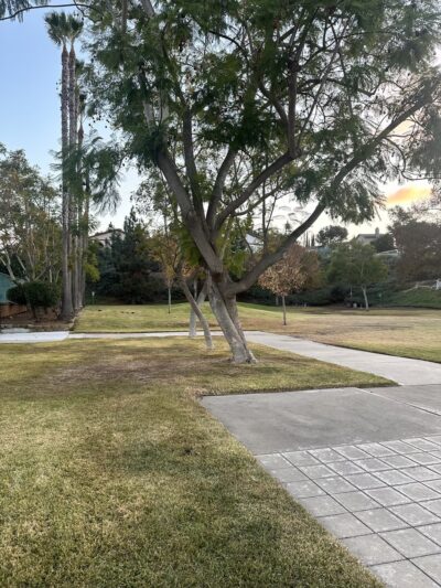 HATFIELD PARK - Spring Valley, CA