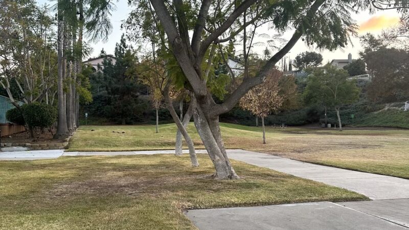 HATFIELD PARK - Spring Valley, CA