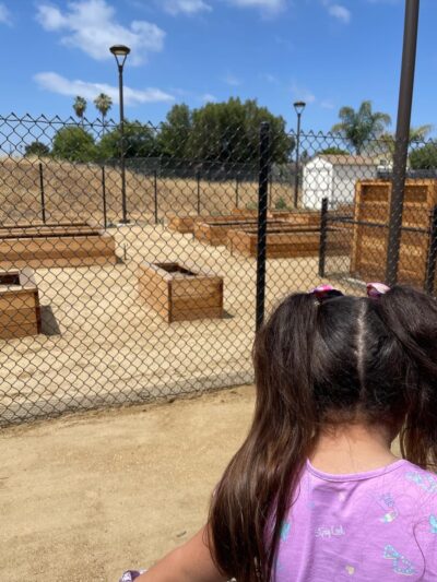 Ildica County Park - Spring Valley, CA