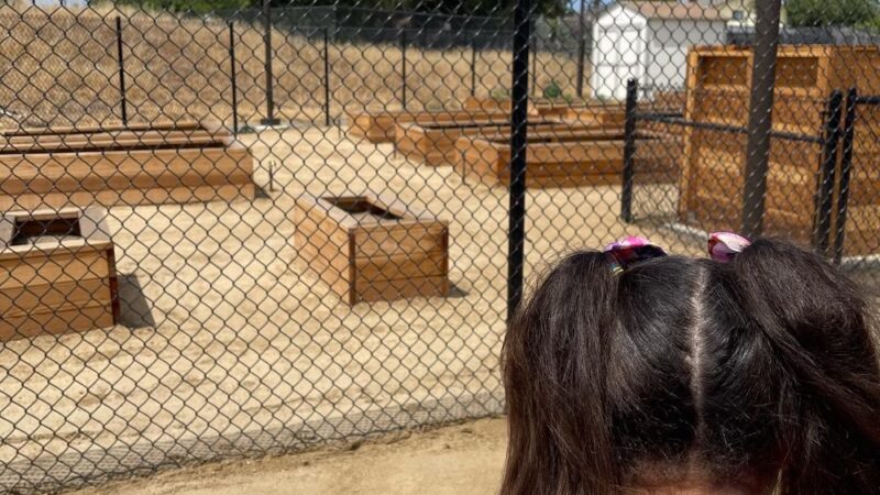 Ildica County Park - Spring Valley, CA