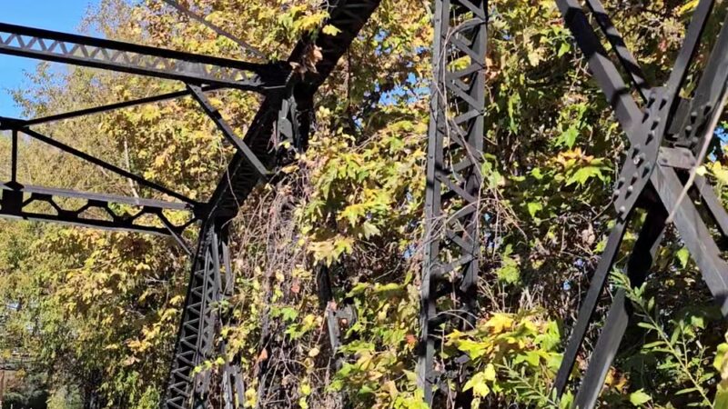 Trailhead Parking Lot - Spring Valley, CA