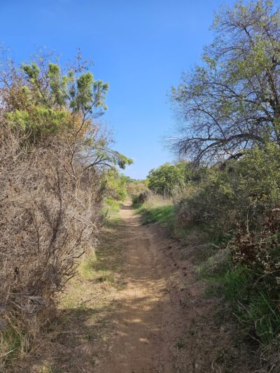 Trailhead Parking Lot - Spring Valley, CA
