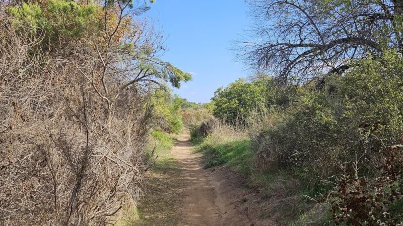 Trailhead Parking Lot - Spring Valley, CA