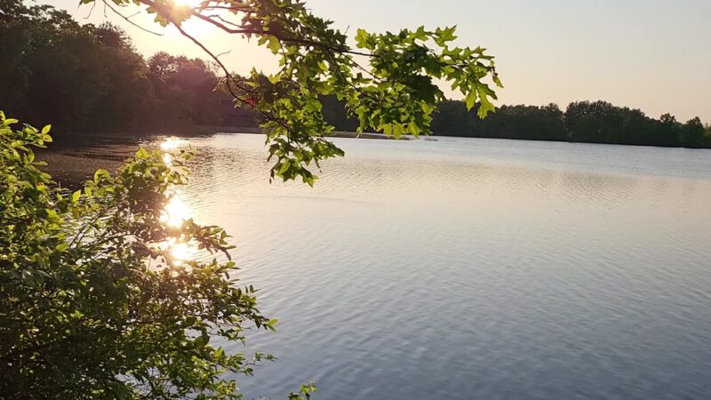 Five Mile Pond Park - Springfield, MA