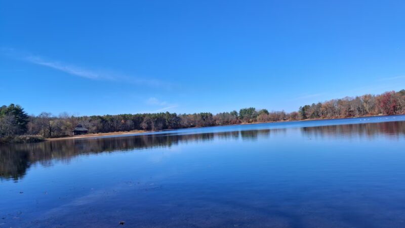 Five Mile Pond Park - Springfield, MA
