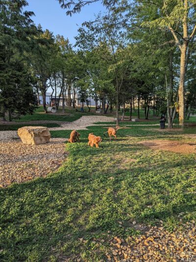 Bark Yard - Springfield, MO