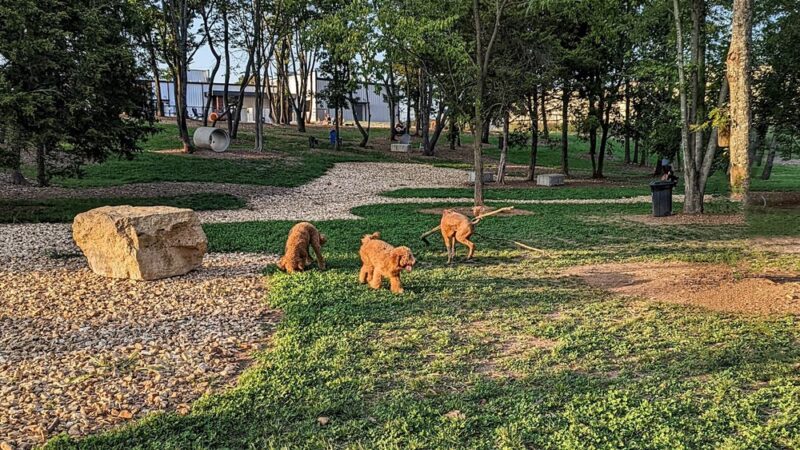 Bark Yard - Springfield, MO