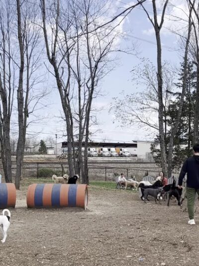 Bark Yard - Springfield, MO