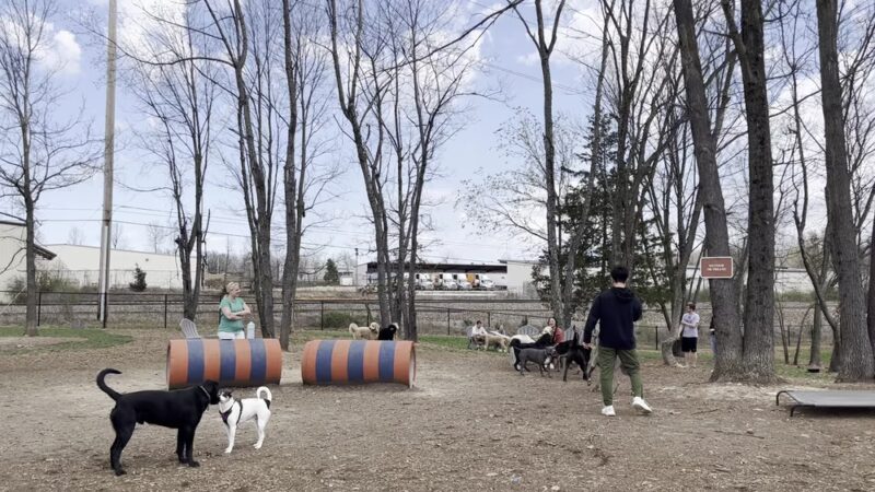 Bark Yard - Springfield, MO