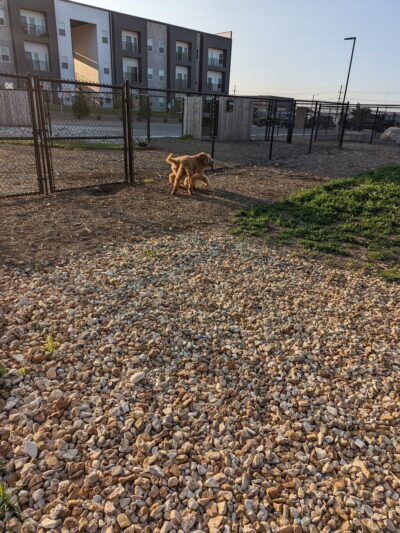 Bark Yard - Springfield, MO