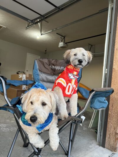 Bark Yard - Springfield, MO