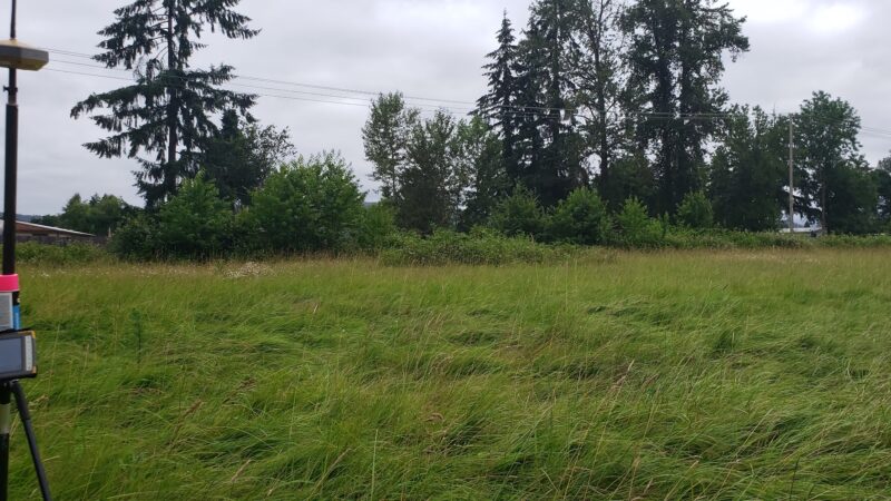 Bluebelle Park - Springfield, OR