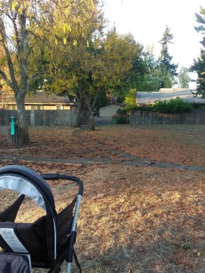 Bluebelle Park - Springfield, OR
