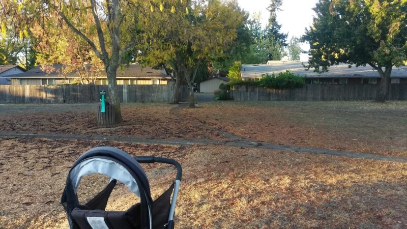 Bluebelle Park - Springfield, OR