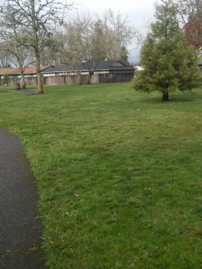 Bluebelle Park - Springfield, OR
