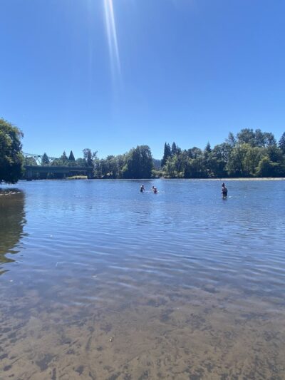 Island Park - Springfield, OR