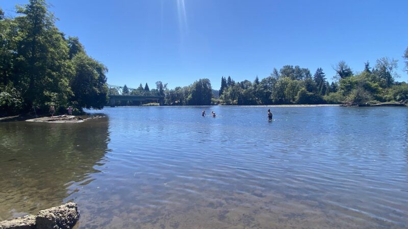 Island Park - Springfield, OR