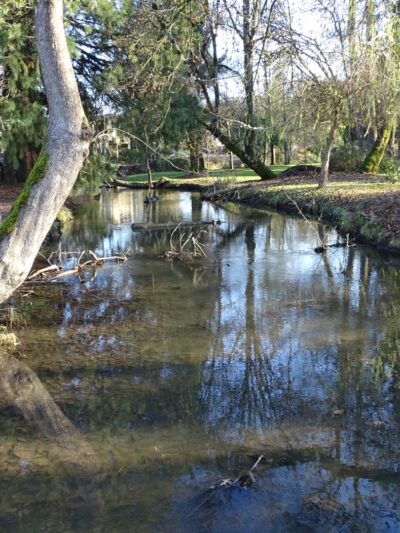 Island Park - Springfield, OR