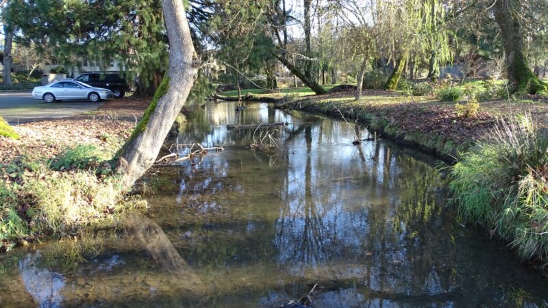 Island Park - Springfield, OR
