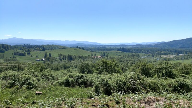 Jasper Meadows - Springfield, OR