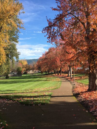 Thurston Park - Springfield, OR