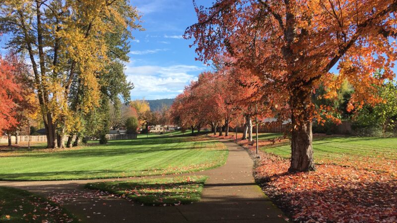 Thurston Park - Springfield, OR
