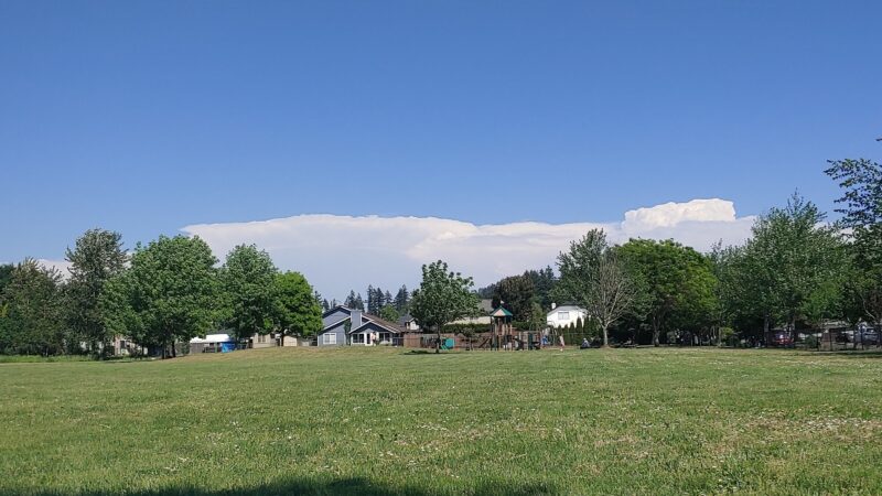 Volunteer Park - Springfield, OR