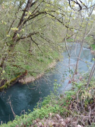Willamalane Preservation Park - Springfield, OR