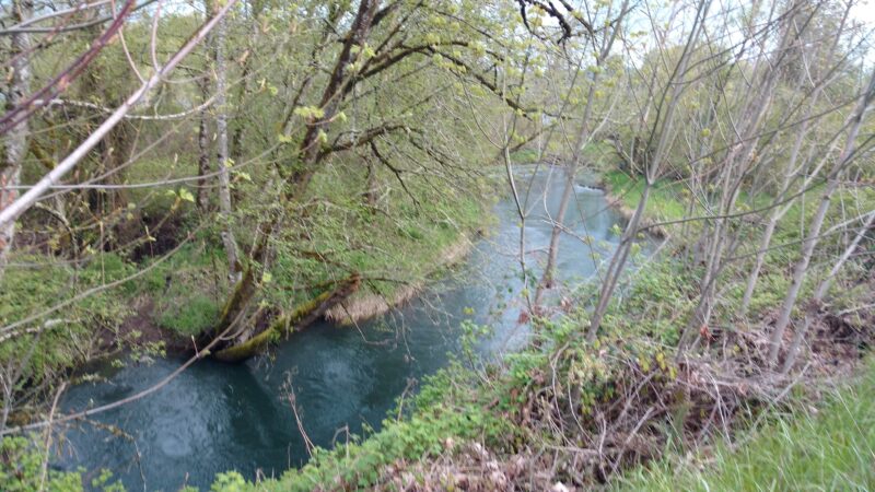 Willamalane Preservation Park - Springfield, OR