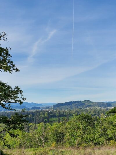 Willamette Heights Park - Springfield, OR