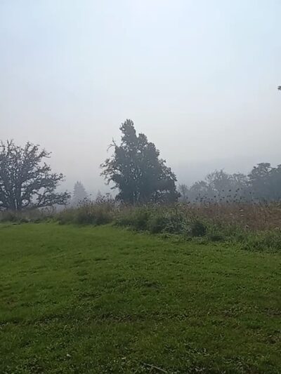 Willamette Heights Park - Springfield, OR