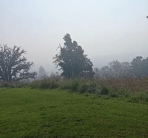Willamette Heights Park - Springfield, OR