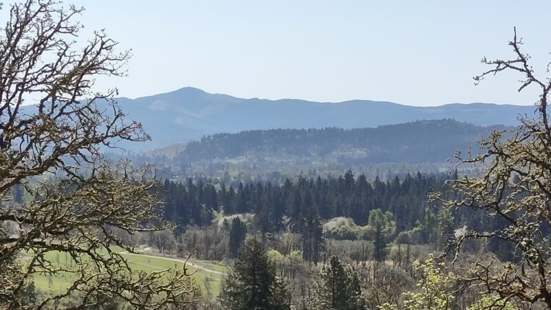 Willamette Heights Park - Springfield, OR