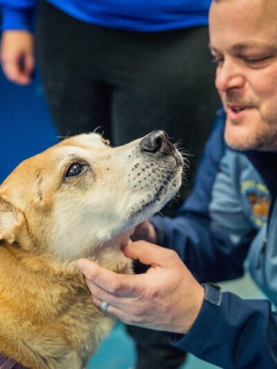 A Dog's Day Out - Springfield, VA