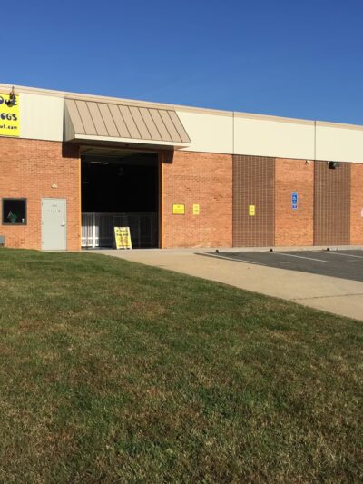 A Dog's Day Out - Springfield, VA