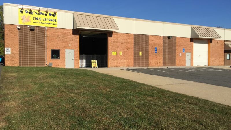 A Dog's Day Out - Springfield, VA