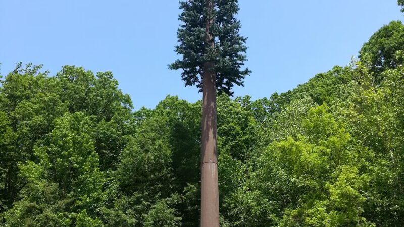 Byron Avenue Park - Springfield, VA