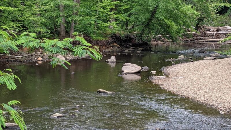 Byron Avenue Park - Springfield, VA