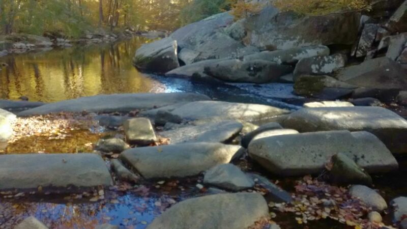 Cross County Trail - Springfield, VA
