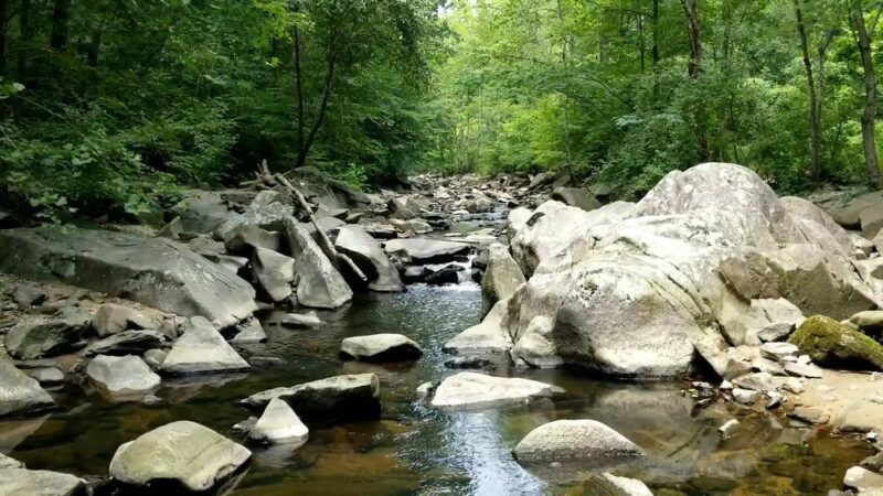 Cross County Trail - Springfield, VA