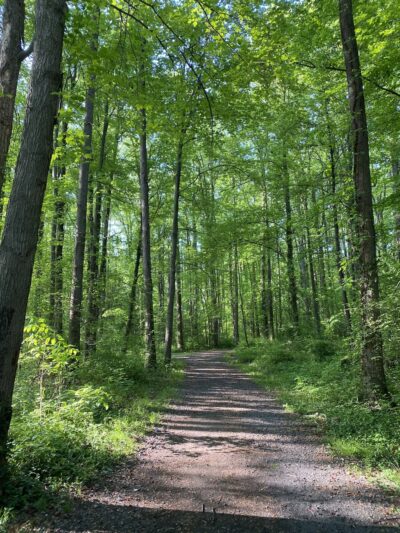 Deerlick Park - Springfield, VA