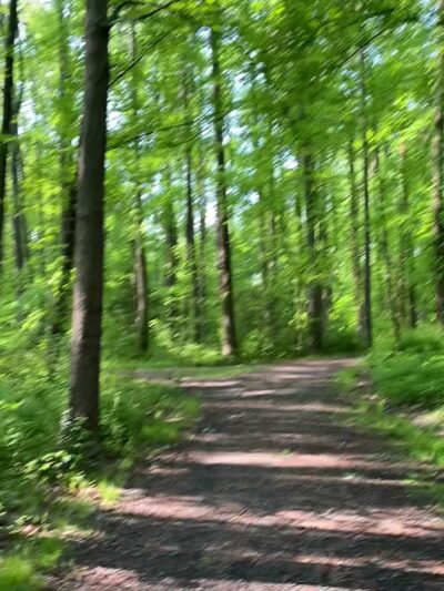 Deerlick Park - Springfield, VA