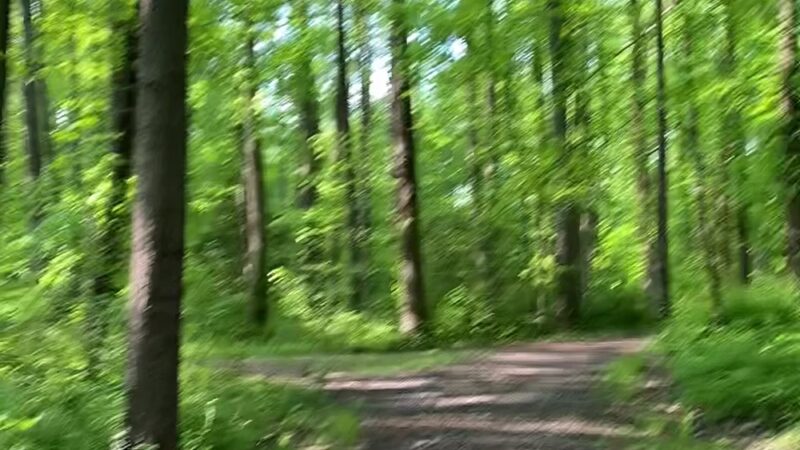 Deerlick Park - Springfield, VA