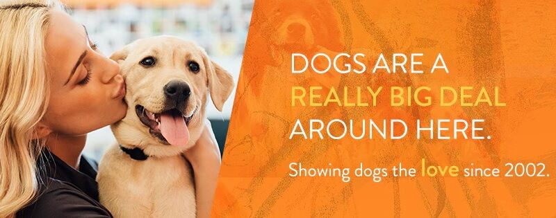 Dogtopia of Springfield - Springfield, VA