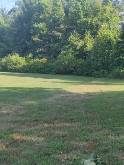 Franconia Park - Springfield, VA