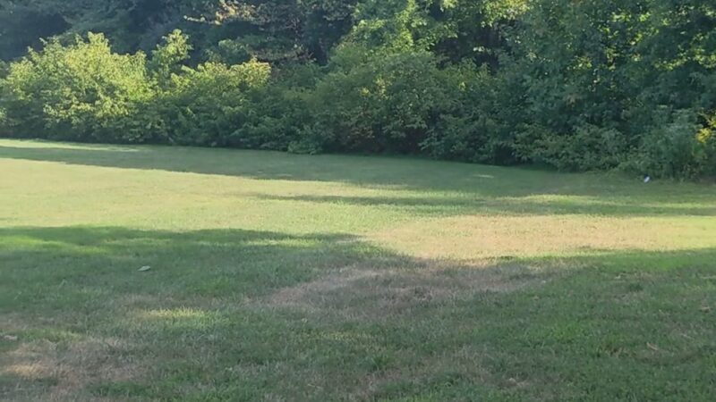 Franconia Park - Springfield, VA